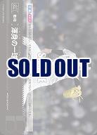 渾身の一球(千葉ロッテマリーンズ) 【PBP02/PDO/M08】